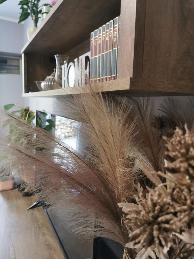 Apartment With Garden 尼亚卢卡 外观 照片