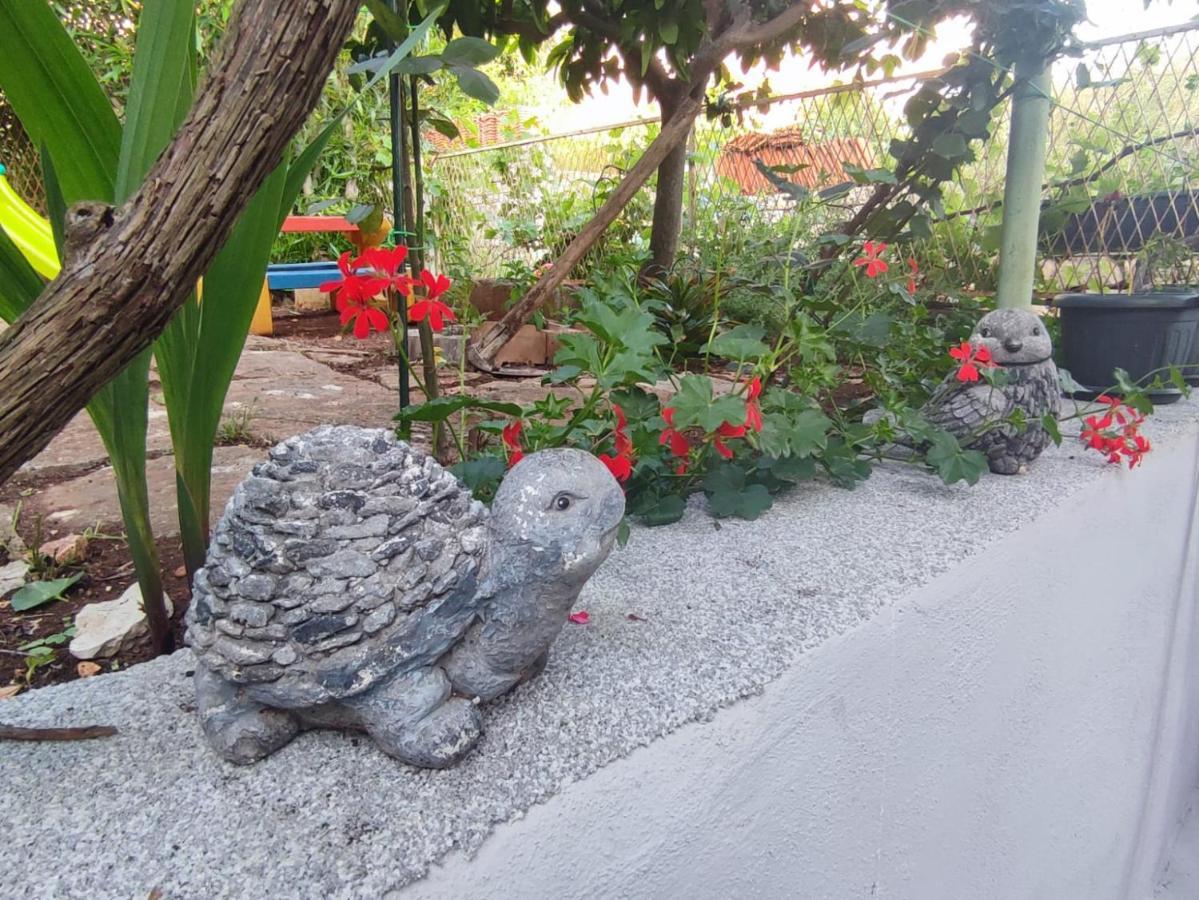 Apartment With Garden 尼亚卢卡 外观 照片