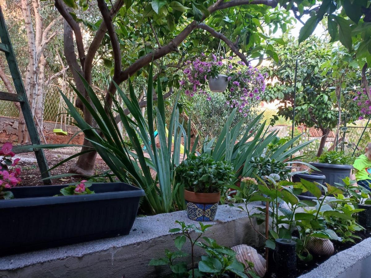 Apartment With Garden 尼亚卢卡 外观 照片